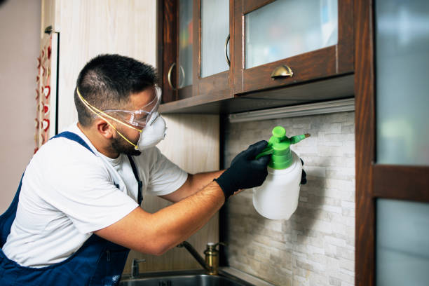 Best Cockroach Control Services  in Franklin, CA
