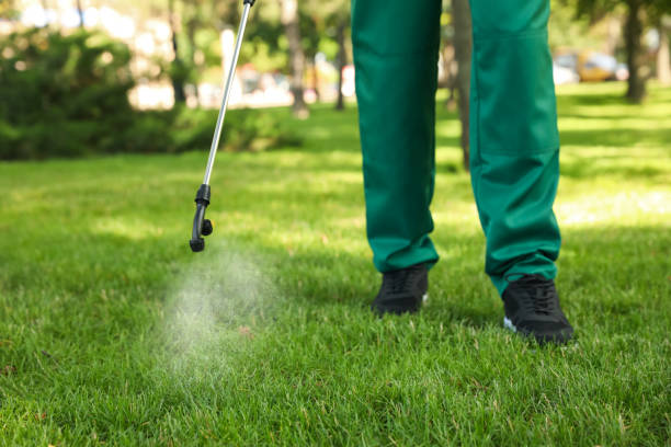 Best Affordable Pest Control Services  in Franklin, CA
