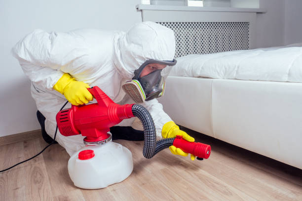 Reliable Franklin, CA Pest Control Solutions