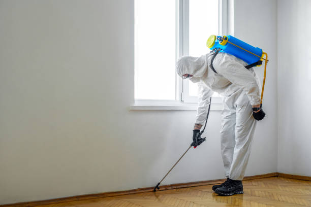 Best Exterminator Services  in Franklin, CA