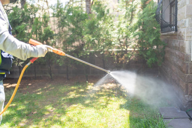 Best Bird Control  in Franklin, CA