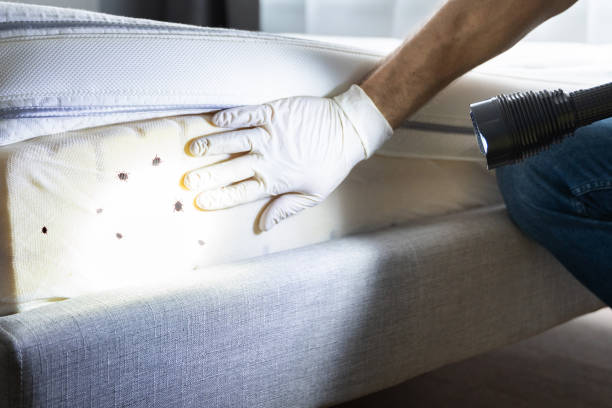  Franklin, CA Pest Control Pros