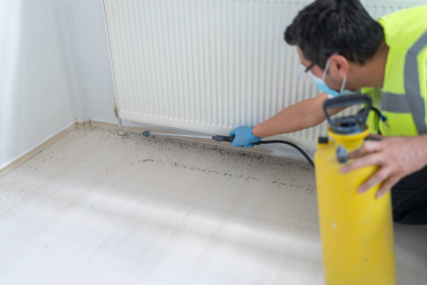 Best Best Pest Control Companies  in Franklin, CA