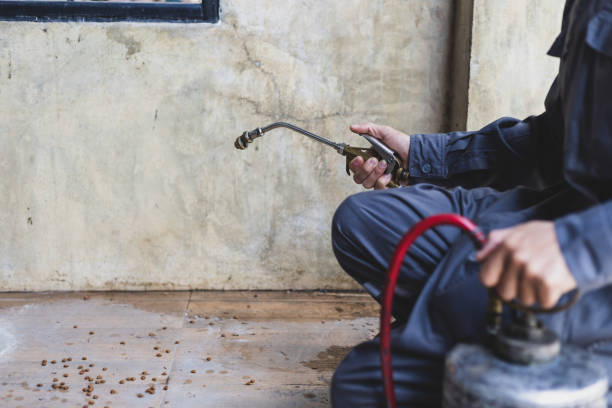 Best Local Pest Control Services  in Franklin, CA