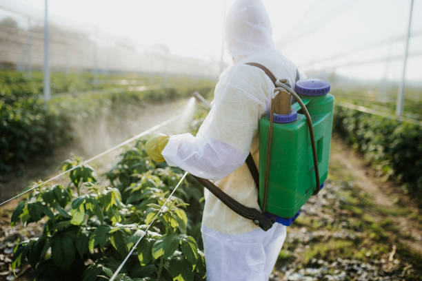 Best Flea Control Services  in Franklin, CA
